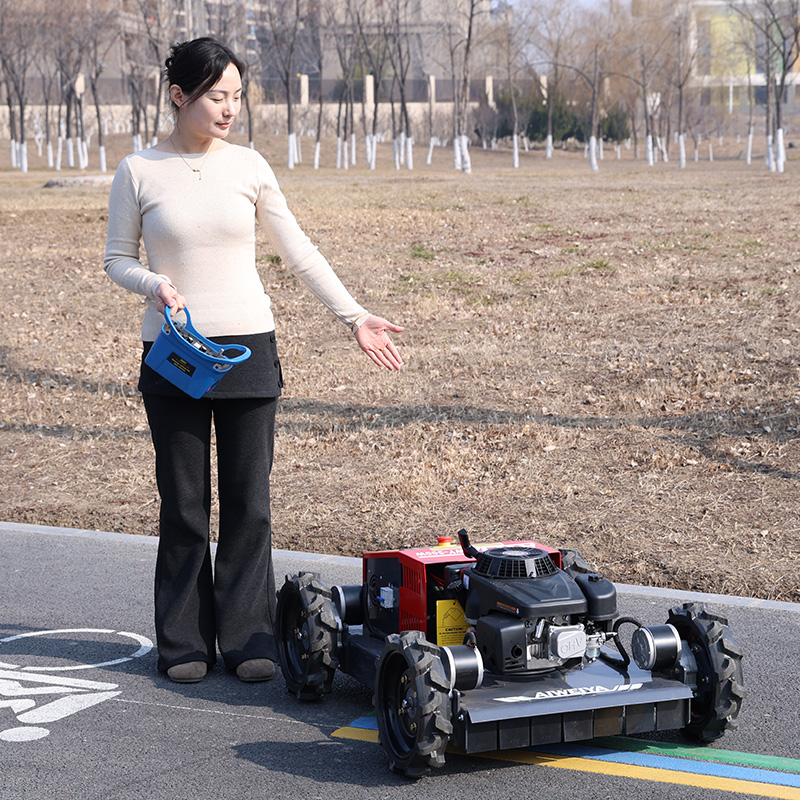 Индивидуально настраиваемая ро – обзор и цена Robot Wheel