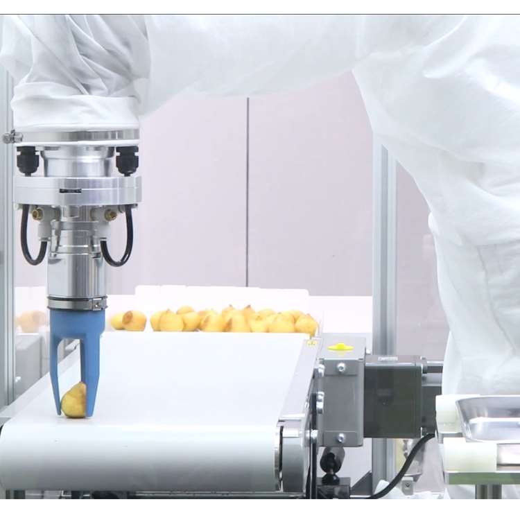 6-осевой роботизированный мани – обзор и цена Robot Gripper