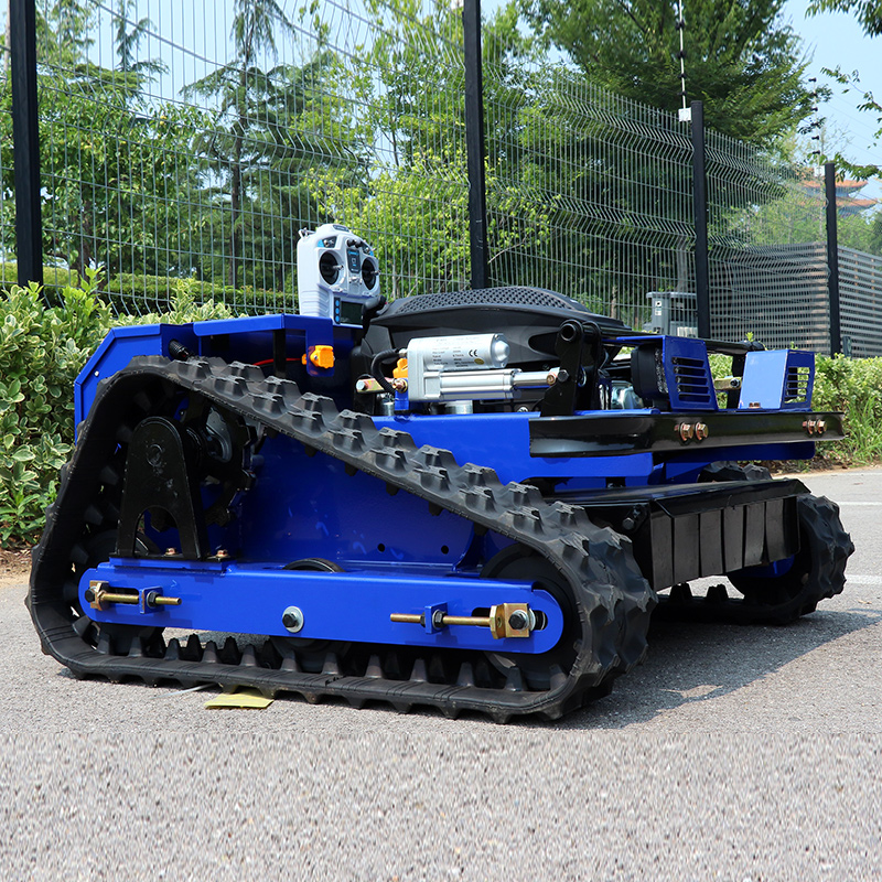 Портативная самоходная интелле – обзор и цена Robot Track